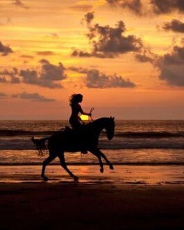 Sunset at the beach Horseback Riding at La Merced Wildlife Refuge