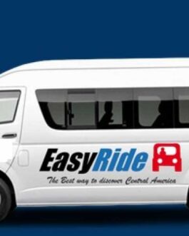 Shuttle Service Easy Ride