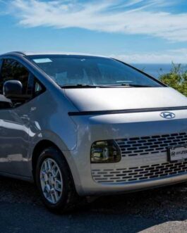 Transfer Minivan 07 Passengers 4X4