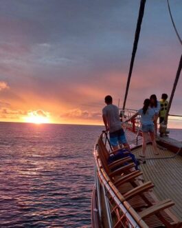 Brisa-Elegante-sunset-sailing-cruize