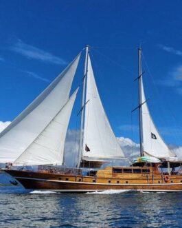 Brisa-Elegente-Full-Sail