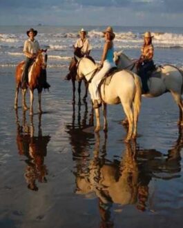 horseback (1)