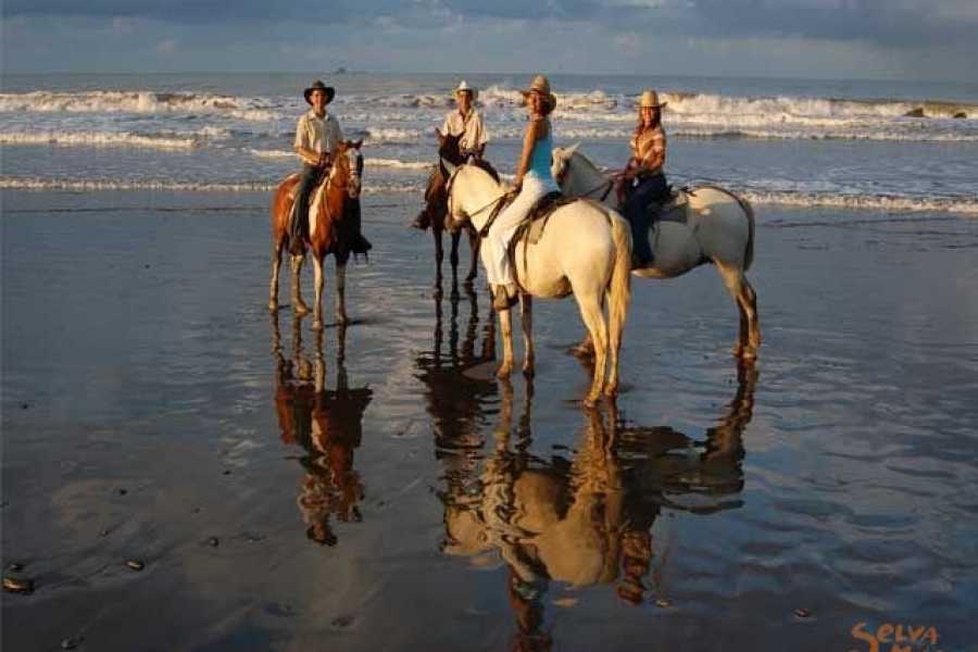 horseback (1)