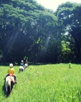 horseback1
