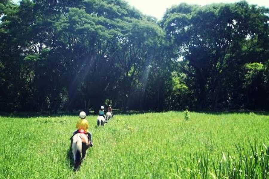 horseback1