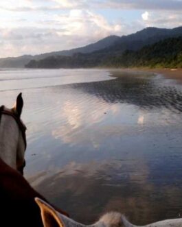 horseback3