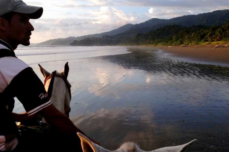 horseback3