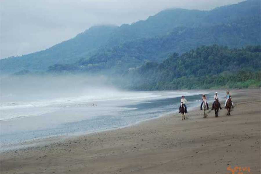 horseback4