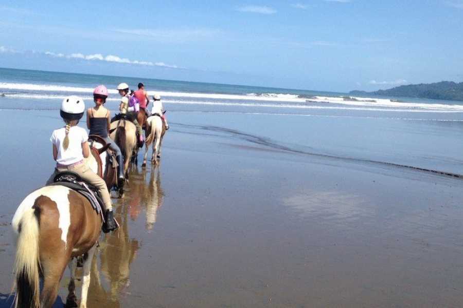 horseback5