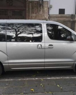 Transfer Minivan 07 Passengers 4X2