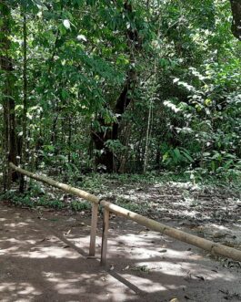 corcovado37