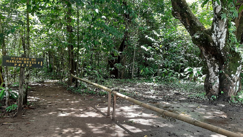corcovado37