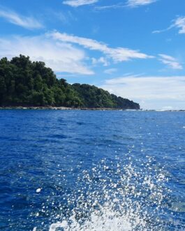 corcovado43
