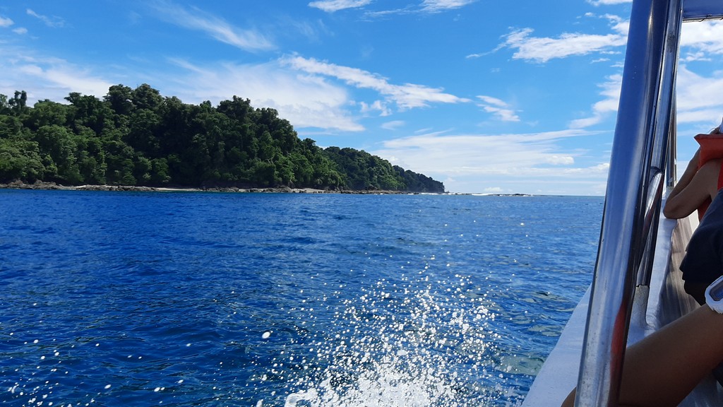 corcovado43