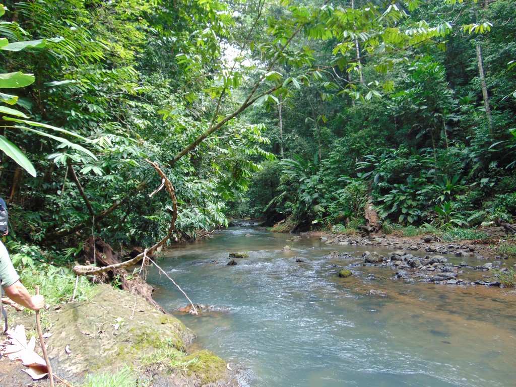 corcovado45