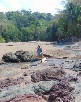 corcovado53