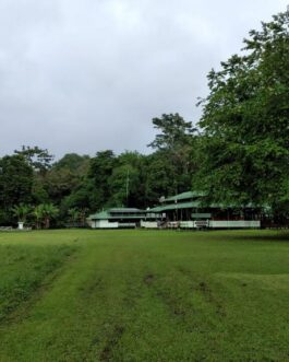 corcovado66