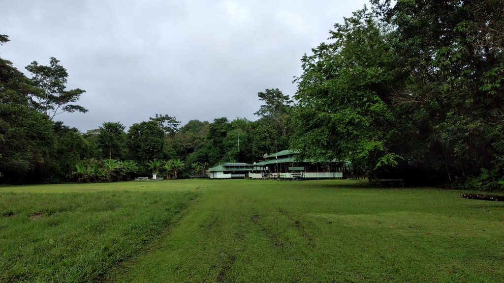 corcovado66