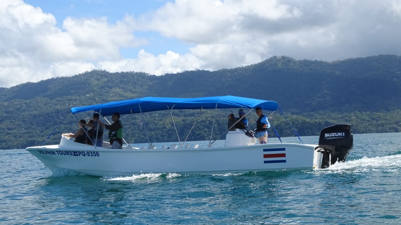 dolphin3