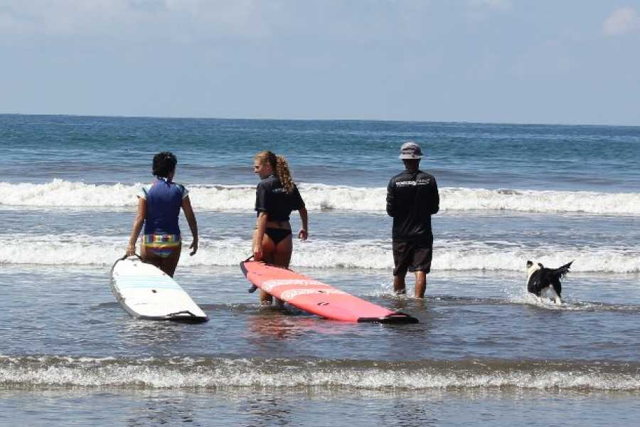 surf1