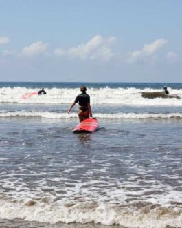 surf4