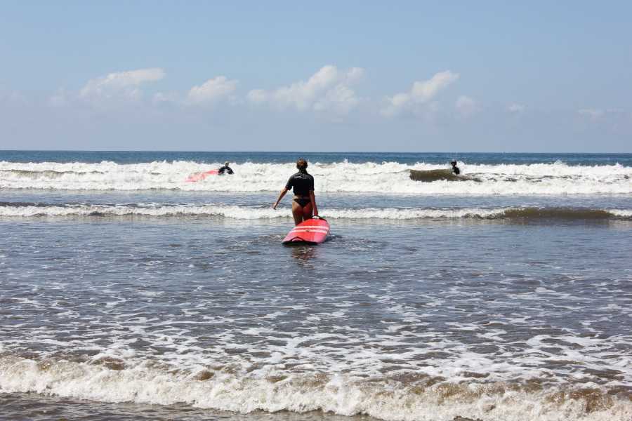surf4