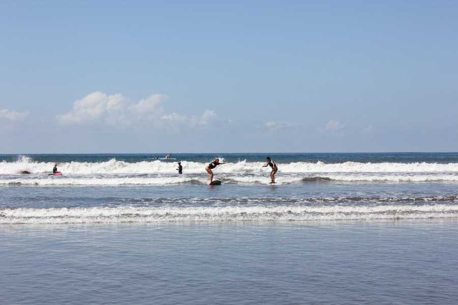 surf5