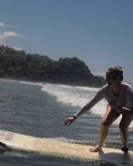 Surf Lessons