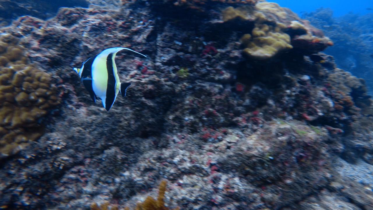 isla12