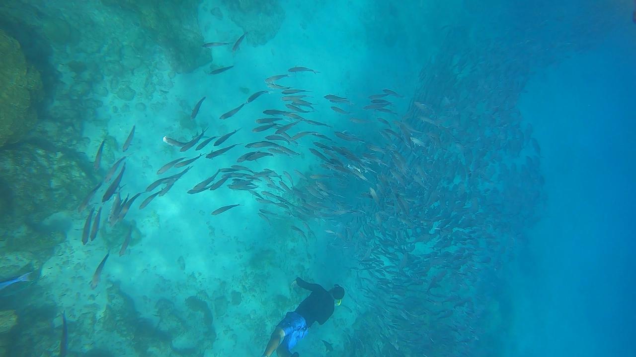 isla15