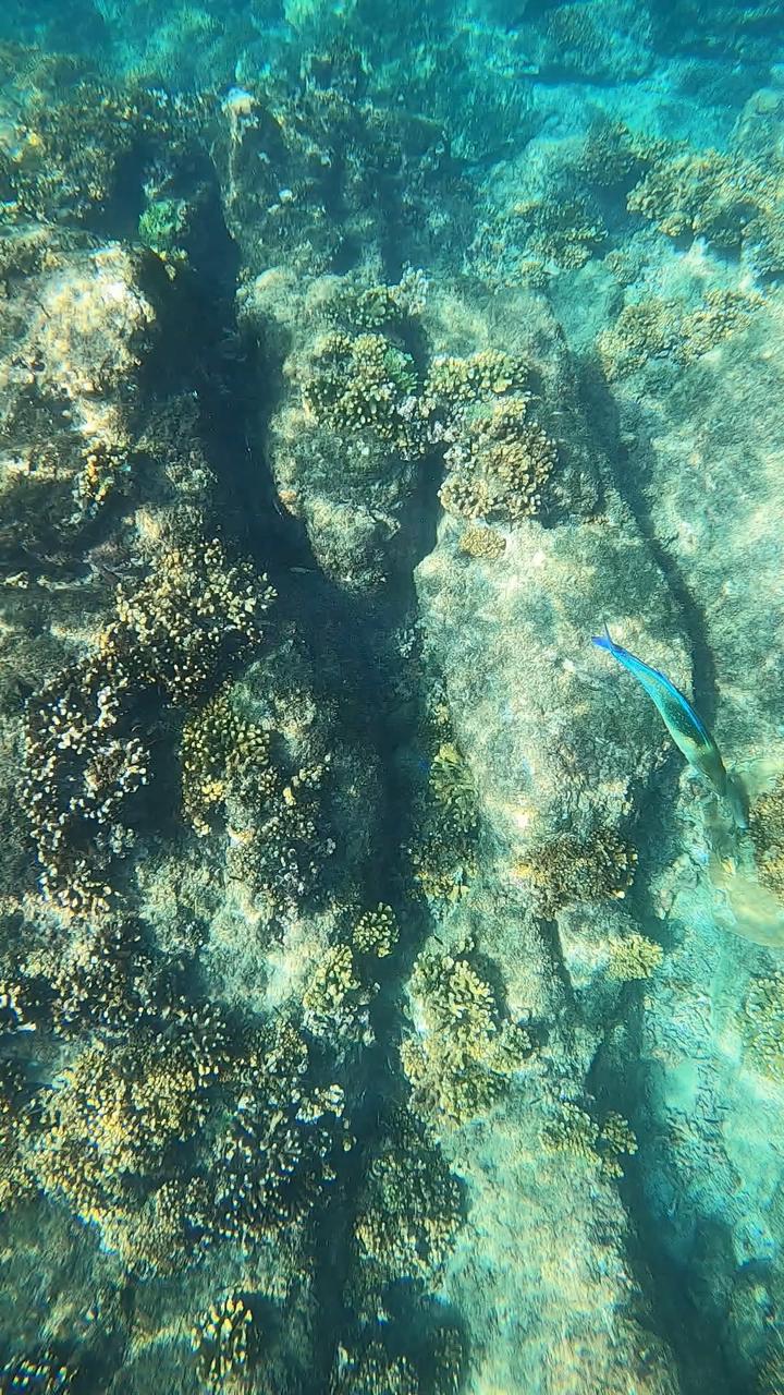 isla24