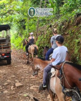 Horse-Riding-1