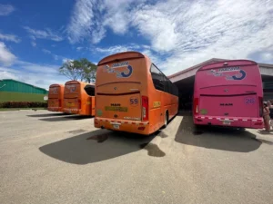 Read more about the article Local Bus Schedule